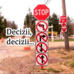 Arta de a lua propriile decizii aaa