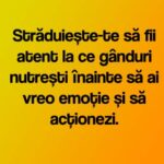Trăiești responsabil sau te enervează Gicu?