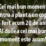 Alege să te dezvolți personal!