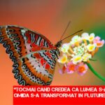 7 concluzii după 7 ani de dezvoltare personală
