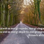 Valorile care creează o echipă extraordinară