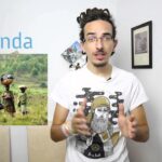 În ce au oamenii încredere? În ce li se spune? Sau în ce li se arată?
