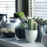 5 elemente de decor pentru orice buzunar