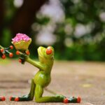 5 idei haioase pentru o cerere în căsătorie serioasă cerere în căsătorie